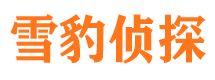 青川情人调查